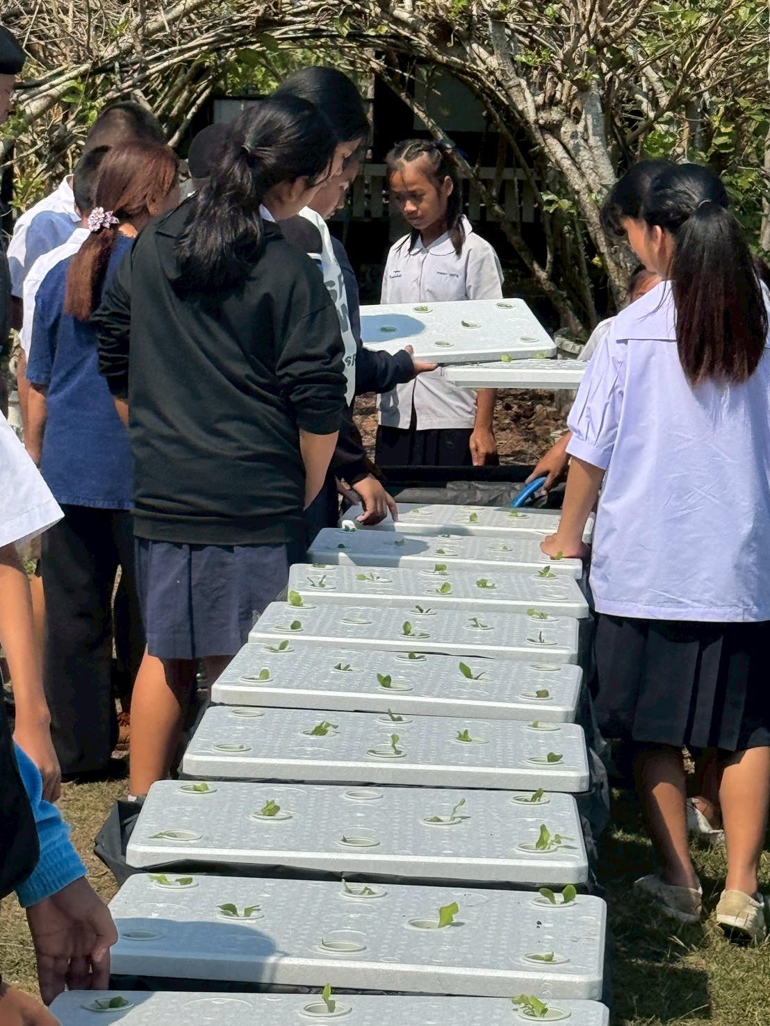 title - ส.ป.ก.จันทบุรี ดำเนินการฝึกอบรม โครงการเพิ่มศักยภาพระบบงานเกษตรภายใต้แผนพัฒนาเด็กและเยาวชนในถิ่นทุรกันดาร ตามพระราชดำริ สมเด็จพระเทพรัตนราชสุดาฯ สยามบรมราชกุมารี ประจำปีงบประมาณ พ.ศ. 2569 